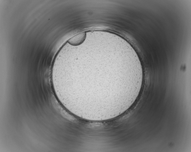 X0000112471186200909281038