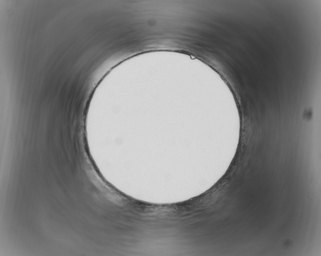 X0000112471187200909281038