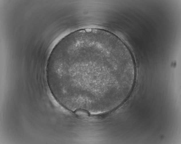 X0000112471189200909281038