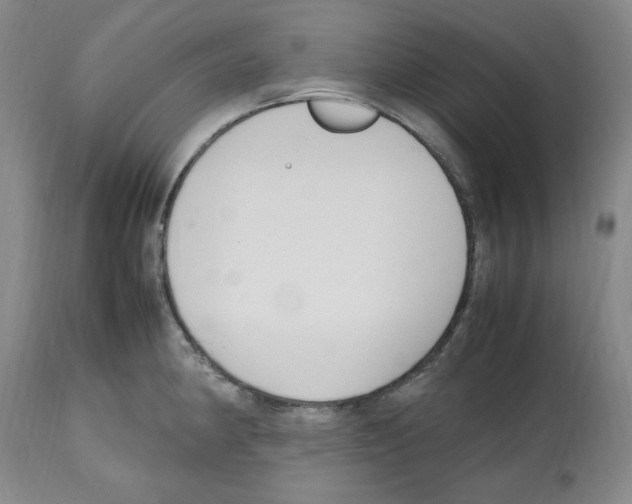X0000112471190200909281038