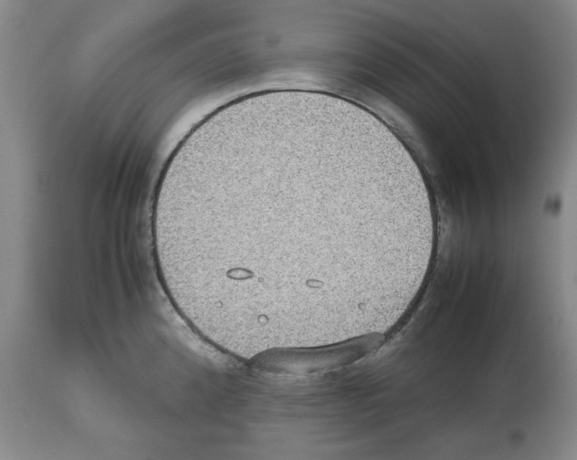 X0000112471192200909281038