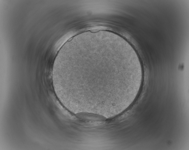 X0000112471193200909281038