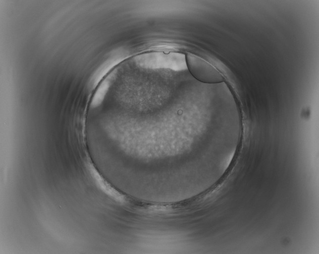 X0000112471194200909281038