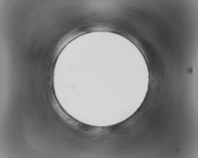 X0000112471195200909281038