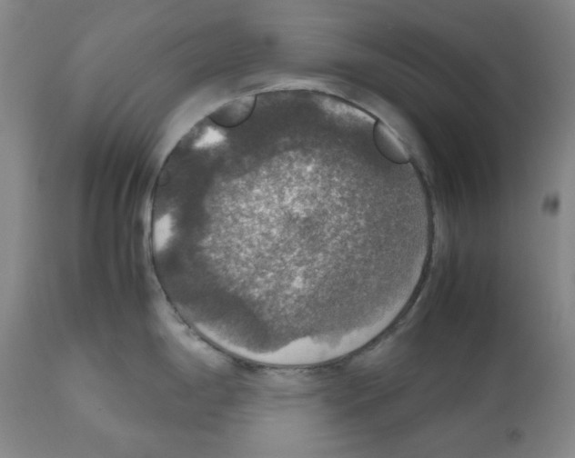 X0000112471198200909281038