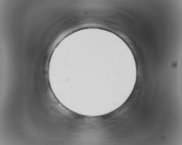 X0000112471199200909281038