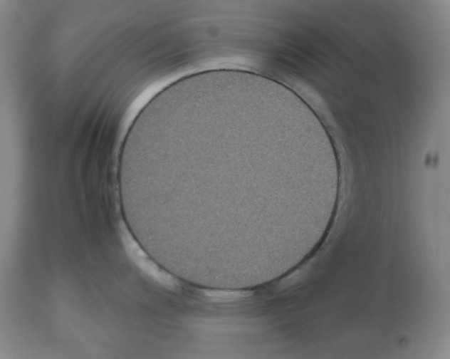 X0000112471200200909281038