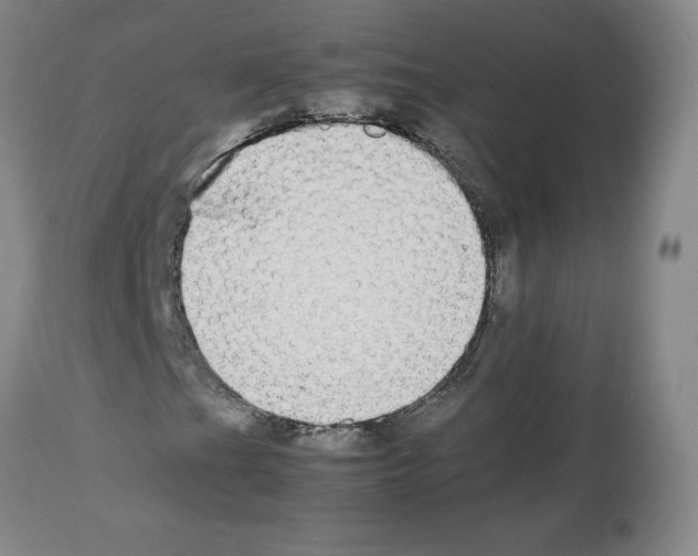 X0000112471201200909281037