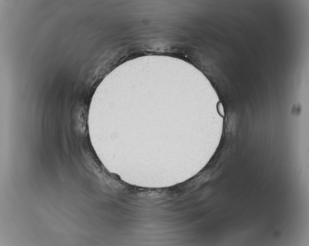 X0000112471202200909281037