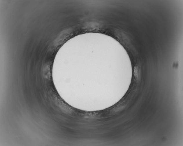 X0000112471203200909281037