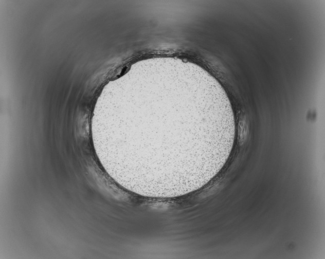 X0000112471204200909281037