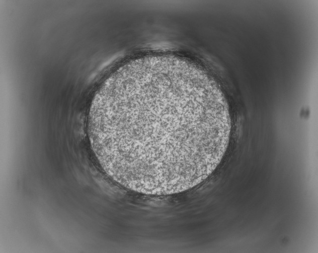 X0000112471205200909281037