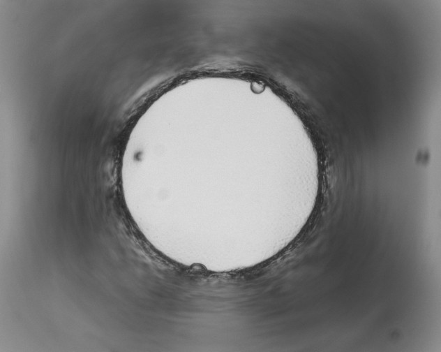X0000112471206200909281037