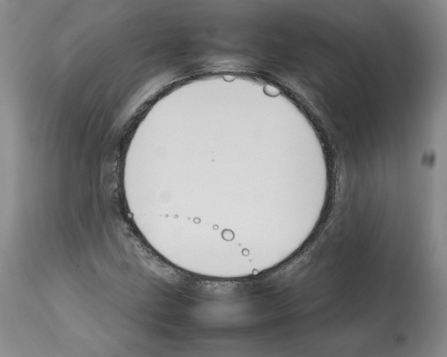 X0000112471211200909281037