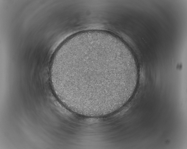 X0000112471212200909281037