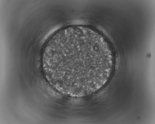 X0000112471213200909281037