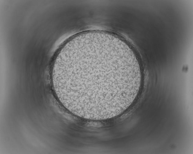X0000112471215200909281037