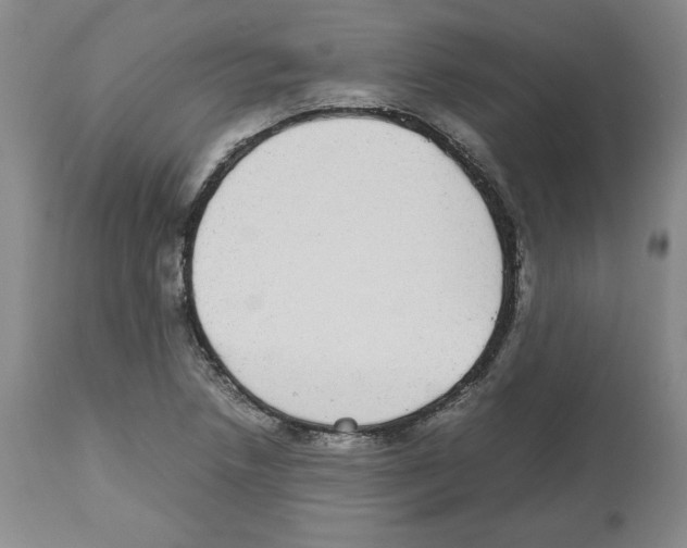 X0000112471218200909281037