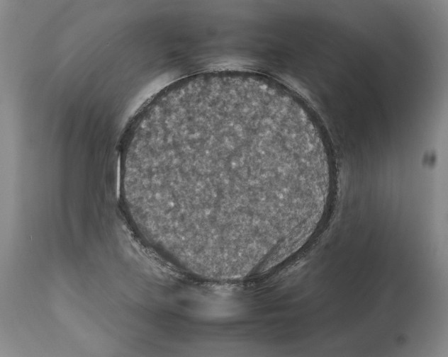 X0000112471219200909281037