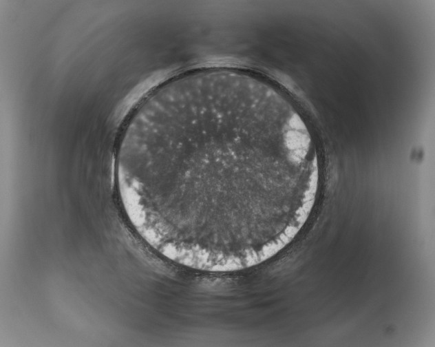 X0000112471221200909281037