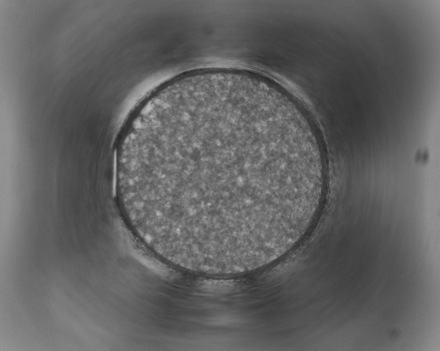 X0000112471223200909281037