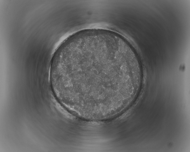 X0000112471224200909281037