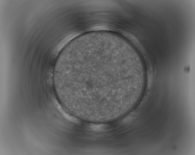 X0000112471225200909281037