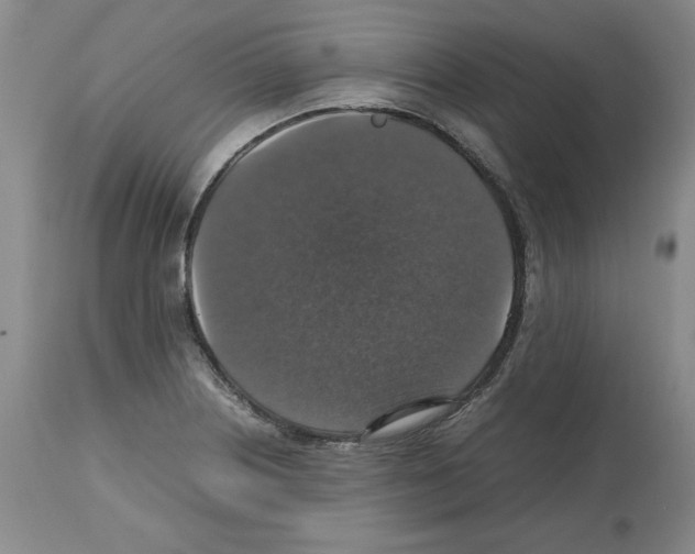 X0000112471226200909281037