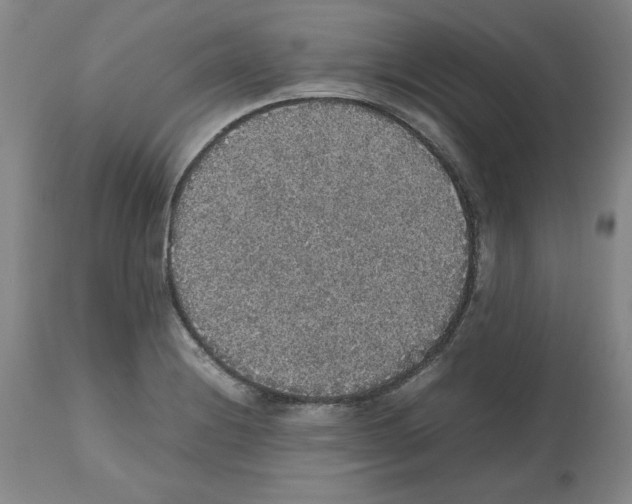 X0000112471228200909281037