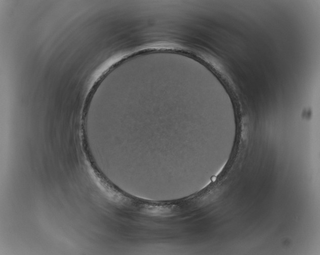 X0000112471229200909281037