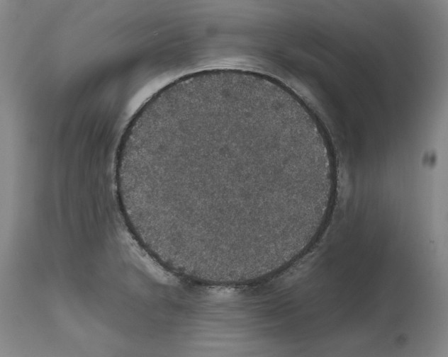 X0000112471230200909281037