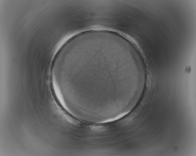 X0000112471231200909281037