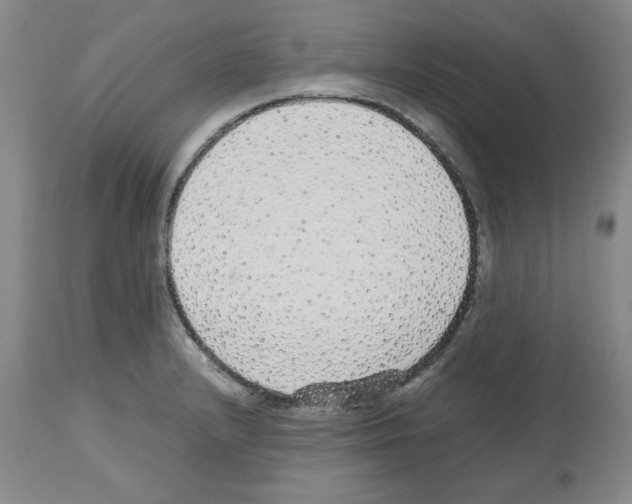 X0000112471232200909281037