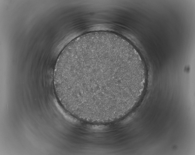 X0000112471233200909281037