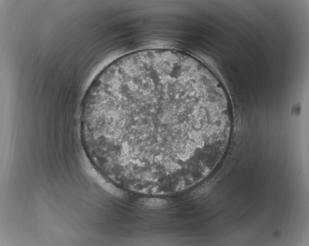 X0000112471235200909281037