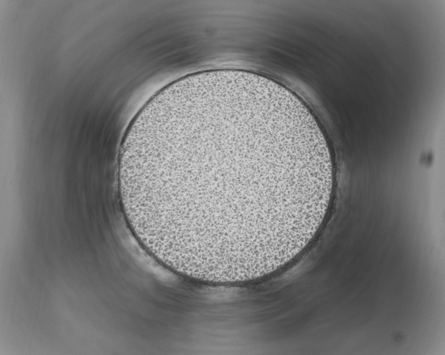 X0000112471236200909281037