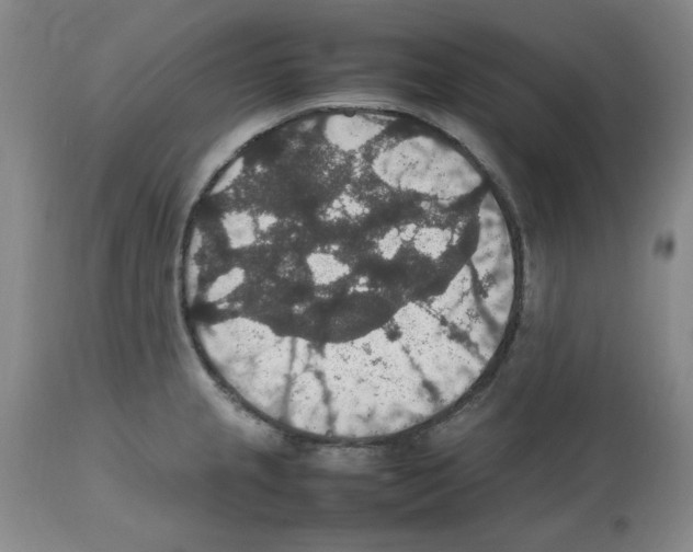 X0000112471237200909281037