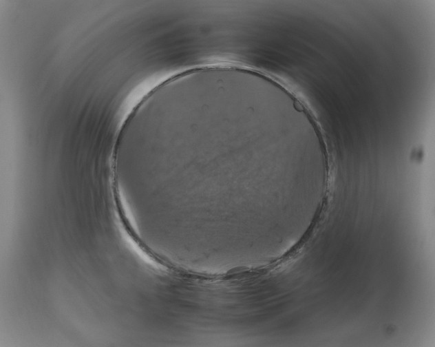 X0000112471239200909281038