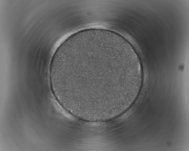 X0000112471240200909281038
