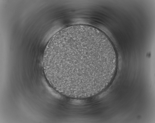 X0000112471241200909281038