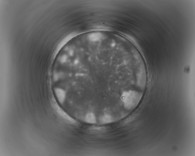 X0000112471243200909281038