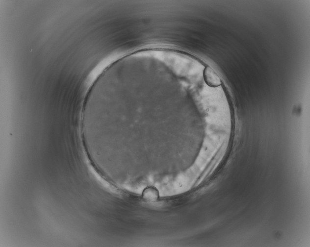 X0000112471245200909281038