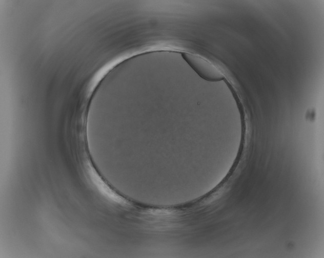X0000112471246200909281038