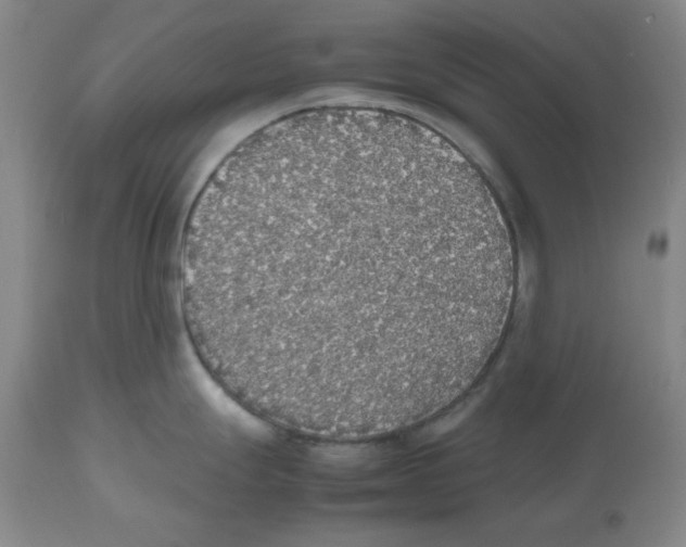 X0000112471247200909281038