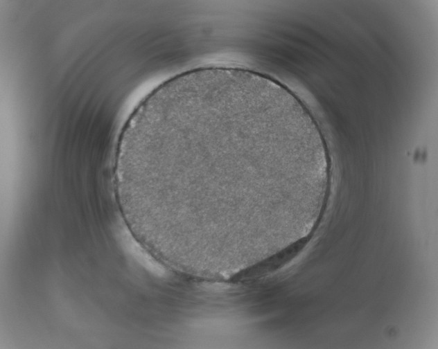 X0000112471248200909281038