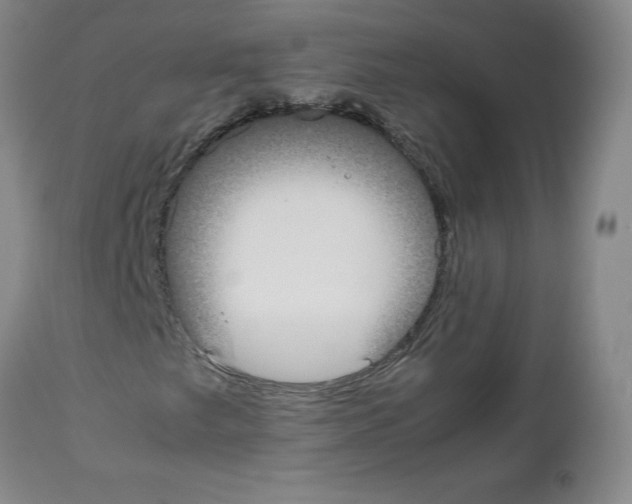 X0000112471249200909281037
