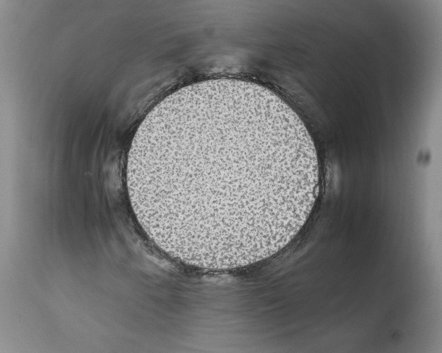 X0000112471250200909281037