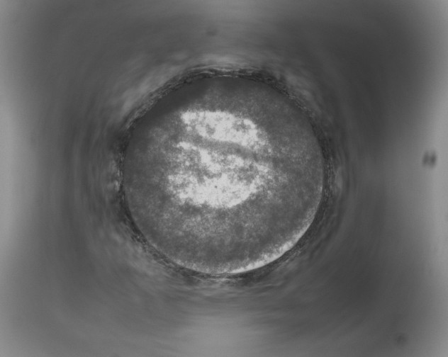X0000112471253200909281037