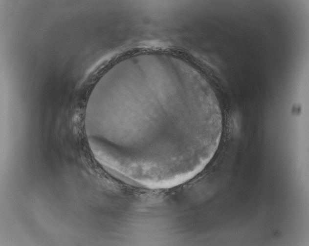 X0000112471254200909281037