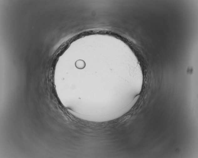 X0000112471255200909281037